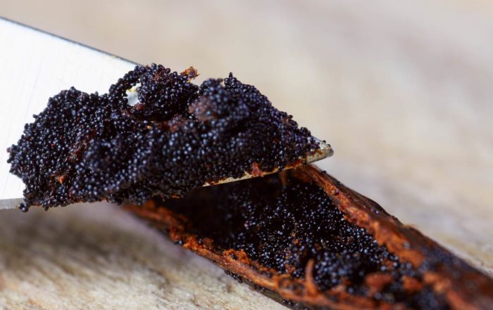 How to use vanilla beans– its easy and rewarding